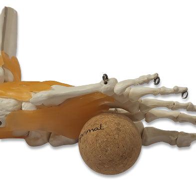 Bprimal Cork Massage Ball 50mm - Image 6